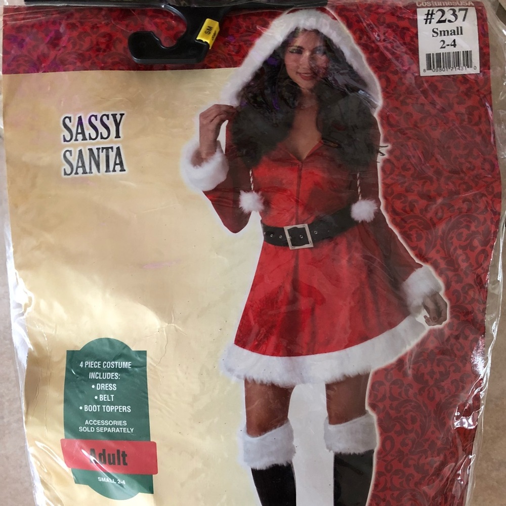 Sassy Santa Costume - Adult Small - Halloween